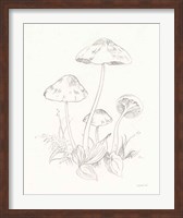 Framed Nature Sketchbook III