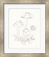 Framed Nature Sketchbook III