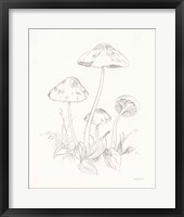 Nature Sketchbook III Framed Print