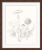 Framed Nature Sketchbook II