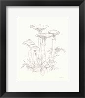 Framed Nature Sketchbook I