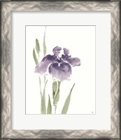 Framed Japanese Iris III Purple Crop