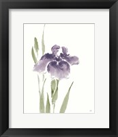 Framed Japanese Iris III Purple Crop