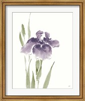Framed Japanese Iris III Purple Crop
