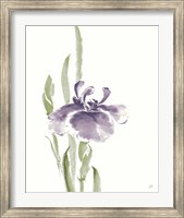 Framed Japanese Iris II Purple Crop
