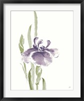 Framed Japanese Iris II Purple Crop