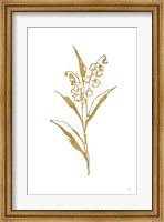 Framed Gold Line Lily of the Valley II