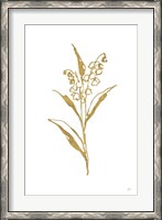 Framed Gold Line Lily of the Valley II