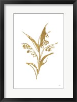 Framed Gold Line Lily of the Valley I