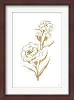 Framed Gold Line Carnation III