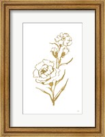 Framed Gold Line Carnation III