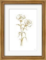 Framed Gold Line Carnation II