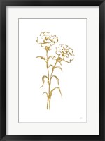 Framed Gold Line Carnation II