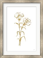 Framed Gold Line Carnation II