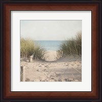 Framed Beach Grasses