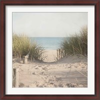 Framed Beach Grasses