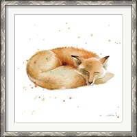 Framed Sleeping Fox