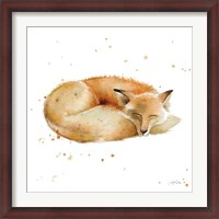 Framed Sleeping Fox