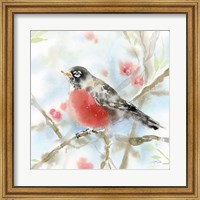 Framed Spring Robin