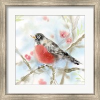 Framed Spring Robin