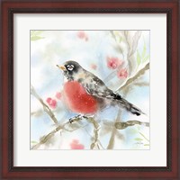 Framed Spring Robin