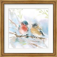 Framed Bluebird Pair in Spring