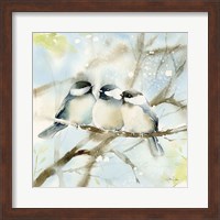 Framed Three Chickadees in Spring Sq