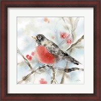 Framed Winter Robin