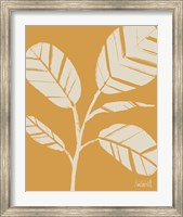 Framed Retro Botanical Sketches IV Crop