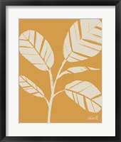 Framed Retro Botanical Sketches IV Crop