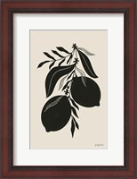 Framed Lemon Silhouette II