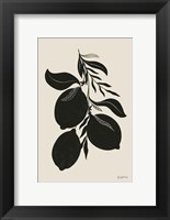 Framed Lemon Silhouette I