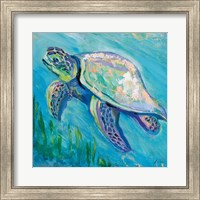 Framed Sea Turtle Swim Light Flipped