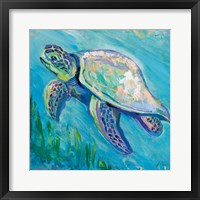 Framed Sea Turtle Swim Light Flipped