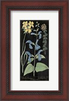 Framed Salvia Florals II on Black