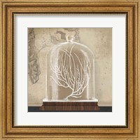 Framed Coral Cloche II