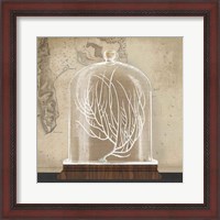 Framed Coral Cloche II