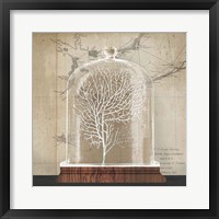 Coral Cloche I Framed Print