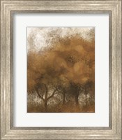 Framed Autumn Time Trees