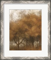 Framed Autumn Time Trees