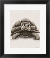 Framed Torty the Turtle