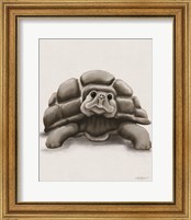 Framed 'Torty the Turtle' border=