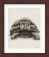 Framed Torty the Turtle