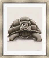Framed Torty the Turtle