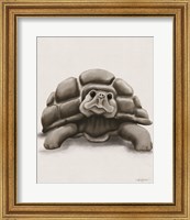 Framed Torty the Turtle