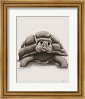 Framed 'Torty the Turtle' border=