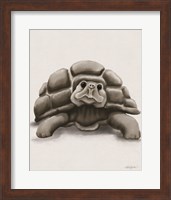 Framed Torty the Turtle