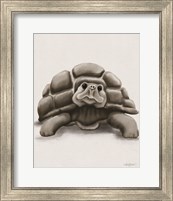 Framed Torty the Turtle