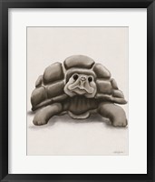 Torty the Turtle Framed Print