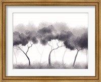 Framed Misty Blue Forest Trees